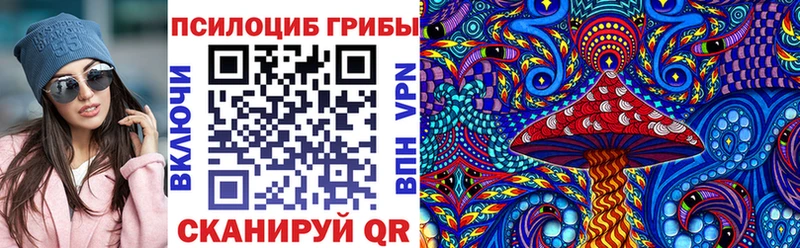 Псилоцибиновые грибы Psilocybine cubensis  Макарьев 